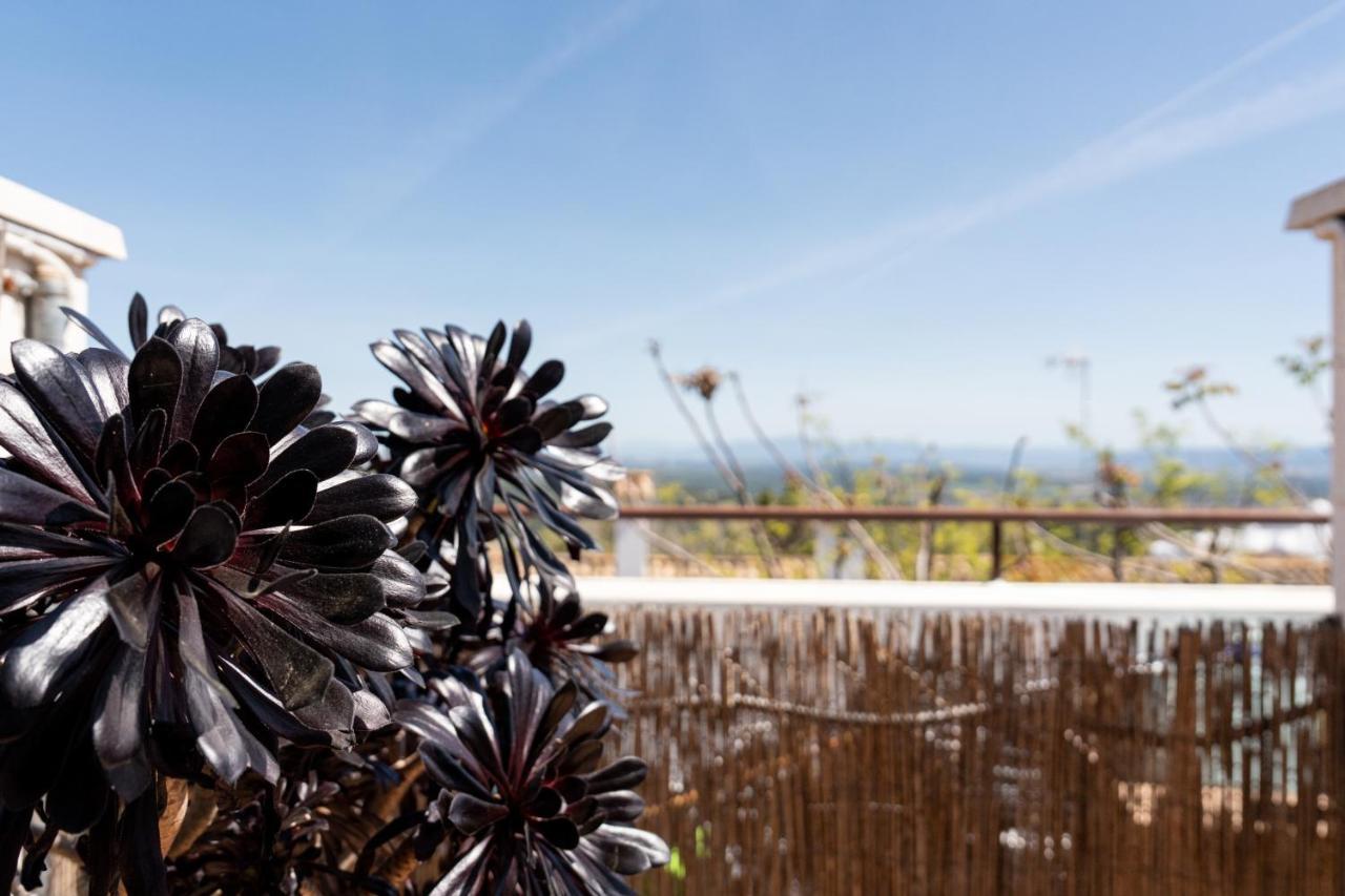 베예데라프론테라 El Balcon De Vejer 아파트 외부 사진